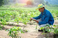 THE NEED FOR AGROFOOD VALUE CHAIN