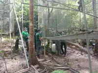 Perhilitan seizes gibbons from rehabilitation centre operated by former ranger