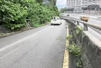Foliage obstructing ramp will be cleared soon, says Litrak
