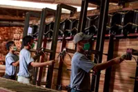 Did You Know? Understanding the Malaysian Timber Council’s role