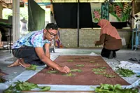 Batik maker makes his mark with ecoprint
