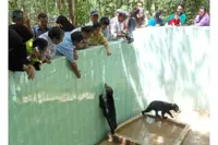 Zoo drawing bigger crowds