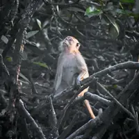 Marine biology graduate bags top photography prize