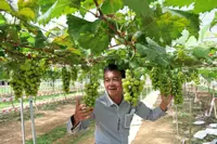 Hard work bears sweet fruits