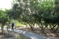 Linear park ‘will be   a boon to residents’