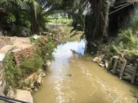 Minister: Sungai Kim Kim not polluted with toxic waste