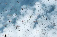 Zombies and UFOs? No problem