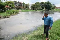 Greasy trail of pollution