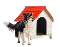 Dog Talk: What science says about happy, naughty dogs