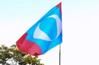Pahang PKR divisions reject tie-up with Dr M's Pejuang
