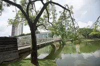 Zip line, musical fountain the latest tourist attractions in Shah Alam