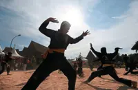 Five traditional martial arts in Malaysia, from silat to wushu