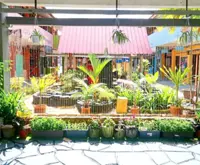 Schools’ do-it-yourself projects using recycled materials recognised in contest