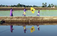 How Malaysians can get 'balik kampung' vibe in own district and state