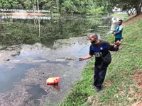 Fishing out rubbish from PJ lake