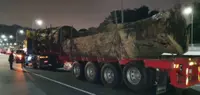Pahang Forestry Dept: Lorry spotted with timber on East Coast Expressway had permit