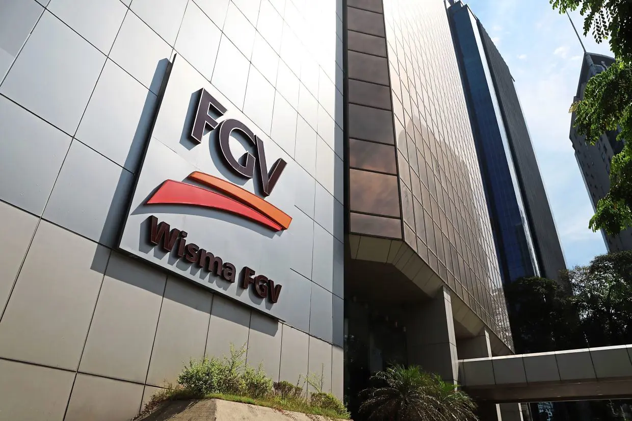 FGV net losses narrow sharply | The Star