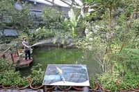 Butterfly farm goes into hibernation mode to cut costs