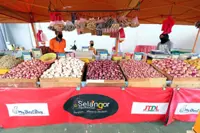 Fruitful effort for traders