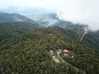 Gunung Alab Substation: Where the wild orchids thrive in Sabah