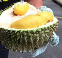 MACC obtains statements from eight Raub durian planters