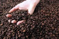 Coffee roasters urged to help growers well-being