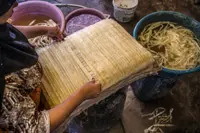 Egypt papyrus makers keep tradition alive despite pandemic struggles