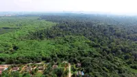 Selangor govt will 'do the right thing' in forest reserve issue, says Anwar