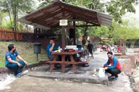 Families surrounded by nature, not crowds