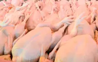 Rising cost of feed, workers wages are pushing chicken prices up