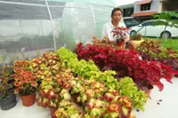 Sowing seeds for a bountiful future