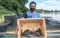 Former used car dealer reaps lucrative income from fish cage farming