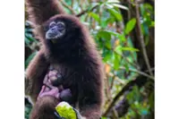 Melaka Zoo set to reopen after 10-month closure