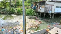 NGO highlights urgent need to protect Johor rivers