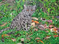 World Animal Day: Malaysian artists answer the call of the wild