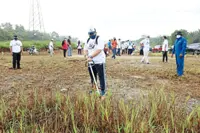 Smart city plan making headway