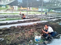 Society’s herb garden project proves a success