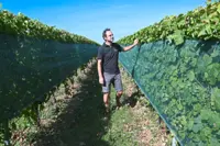 Grapes of change: French wines adapt to global warming