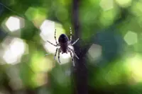Fearful of certain animals? You can tackle your phobia!