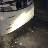 Toyota Vellfire as the official vehicle for ministers sparks controversy