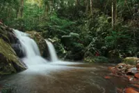 Sarawak's Ba'kelalan highland ecotourism sector expected to expand