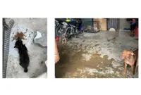 Floods: Rising above just managing