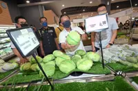 Seeing the pull factor of franchises