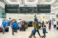 Insight - Airlines will need big data to revive post-Covid
