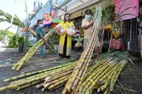Pots full of sweet hope as Tamils celebrate Ponggal