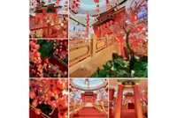 Wonder-Fu and roaring good time awaits