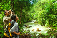 Lure of the water: 9 magical rivers in Malaysia you should visit next