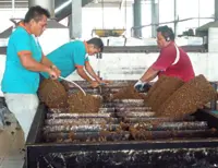 The Week Ahead - Rubber, Bank Indonesia, Chna data, Fed FOMC