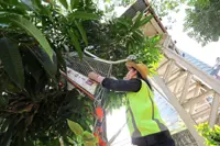 Shopping trolleys are ending up in unlikely places because of public apathy