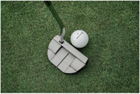 New additions to Spider family